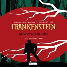 Vintessy Frankenstein (Bez Ciltli)