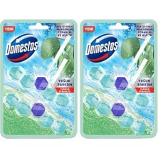 Teknocan Domestos Tuvalet Bloğu Yağmur Ferahlığı 100 Gram (2 Paketi)