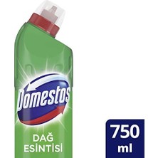 Teknocan Domestos Yoğun Kıvamlı Çamaşır Suyu Maksimum Hijyen Dağ Esintisi 750 ml 5 Paketi, 750 ml x 5, Dağ Esintisi Çamaşır Suyu