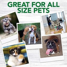 Teknocan Vet's Köpekler Için 3 Başlıklı Diş Fırçası