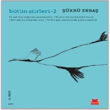 Vintessy Bütün Şiirleri 2
