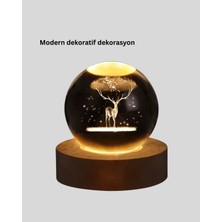 Aslanoğlu Store Geyi̇k Küre