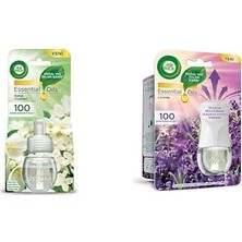 Teknocan Air Wick Elektrikli Oda Kokusu Yedek Şişe Çiçekleri ve Air Wick Elektrikli Oda Kokusu Esansiyel Yağlar Cihaz + Yedek Şişe Lavanta