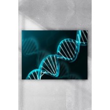 Teknocan (PSTER3922) Dna Bilimsel Poster (70X100CM)