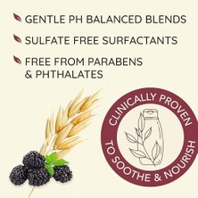 Teknocan Ogx Blackberry Quinoa Protein Karışımı Sülfatsız Saç Kremi, Renk Işlem Görmüş Saç Koruma, Günlük Güçlendirme ve Nemlendirici Saç Kremi, Paraben & Boyasız, 12 Fl Oz