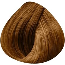 Teknocan Professional Colour Rp Revlonissimo cc Hc 8.12 60ML