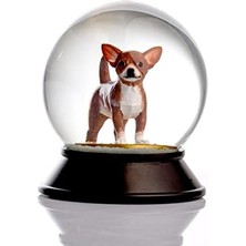 Teknocan Cam ve Reçine Altın Patiler Köpek Chihuahua (Kahve) Kar Küresi Hediye