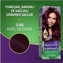 Teknocan Naturals Kızıl Kestane 3/66