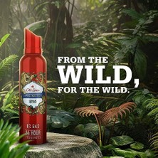 Teknocan Old Spice Lionpride Deodorant Sprey 140 ml