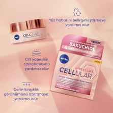 Teknocan Cellular Expert Lift Saf Bakuchiol Gelişmiş Yaşlanma Karşıtı Gündüz ve Gece Yüz Kremi 50ML
