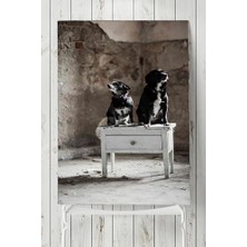 Teknocan (PSTER5721) Köpek Hayvan Poster (30X40CM)