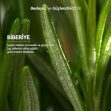 Teknocan Otacı Botanics+ Saf Biberiye Suyu