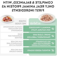 Cekar Store Yetişkin Kedi Konservesi Karidesli 50 gr x 6 Adet