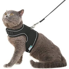 Cekar Store Bypet Yeni Nesil Nefes Alabilen Kedi Göğüs Tasması Seti (Small, Siyah)          [enerji Sınıfı A+]