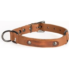 Petsuit  Köpek Boyun TASMASI-%100 Deri - 3 Beden -Taba