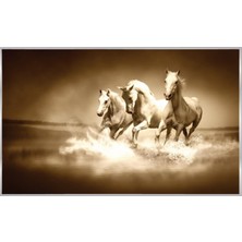 Prowall Poster Duvar Kağıdı 427 8 Parça (3.68MT x 2.54MT)