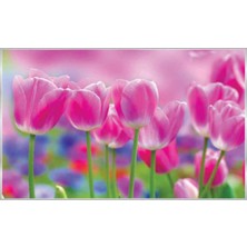 Prowall Poster Duvar Kağıdı 273 8 Parça (3.68MT x 2.54MT)