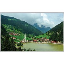 Prowall Poster Duvar Kağıdı 1064 8 Parça (3.68MT x 2.54MT)