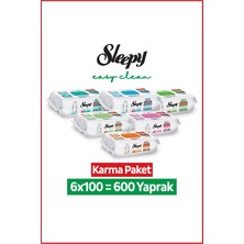 Sleepy Easy Clean Yüzey Temizlik Havlusu Mendili Doğa + Meyve Serisi 6X100 Karma Paket