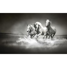 Prowall Poster Duvar Kağıdı 426 8 Parça (3.68MT x 2.54MT)