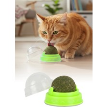 Omilife Yuvarlak Kedi Otu ve Kedi Nanesi Dolgulu Oyun Topu - Eğlenceli, Doğal Kedi Oyuncağı, Yumuşak ve Dayanıklı, Yavru ve Yetişkin Kediler Için