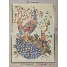 Dıamant 60X80 Goblen
