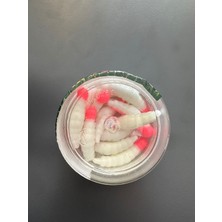 Seagrass Chese Alabalık Yemi