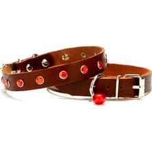 Aslanoğlu Store Taşlı Kedi ve Yru Köpek Tasması 1,2X26 cm Kahverengi Large