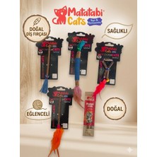 Matatabi Cats Kedim Için  Matatabi ;matatabi Stick ve Matatabi Oyuncak Seti 5 Parça