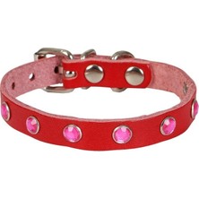 Aslanoğlu Store Taşlı Kedi ve Yru Köpek Tasması 1,5X29 cm Kırmızı Xlarge