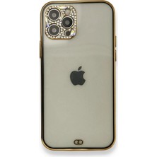 Aslanoğlu Store Iphone 12 Pro Kılıf Liva Taşlı  - Siyah