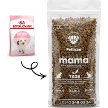 Royal Canin Kitten Yavru Kedi Maması Açık 900 gr