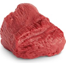 EgeAnatomi Maketleri Kas Replikası 0.50 kg