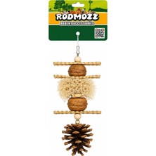 Rodmozz Premium Kozalaklı Cevizli Kemirgen Oyuncağı