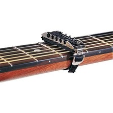 Profesyonel Klasik Gitar Kaposu, 14F Modeli