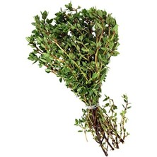 Yerli Kekik Tohumu, 1 Gram Yaklaşık