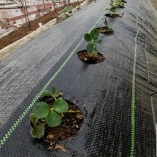 Dayanıklı Siyah Jüt Taban Örtüsü - 90 Gram/m² - 1,5 M x 1 M Boyut