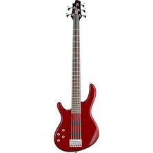 5 Telli Bas Gitar, Kırmızı Renk Seçeneği ile Özel Tasarım