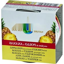 Tavuk Etli ve Ananaslı Yetişkin Köpek Konservesi 150 gr