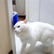 Duvara Monte Edilebilir Kedi Kaşınma Aparatı