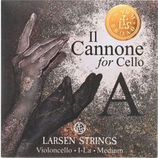 Viyolonsel Tel Larsen Il Cannone A Warm & Broad