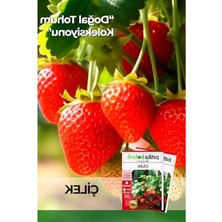 Cekar Store 75 Adet Yerli Ata Sarmaşık Çilek Tohumu