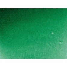Ala Store Akademie Aquarell Yarım Tablet Sulu Boya 553 Permanent Green