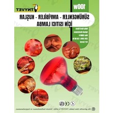 Kızılötesi Isıtıcı Lambalar, 100 Watt ile Sürüngenler Için