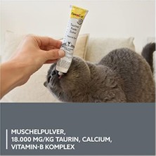 Ala Store Gimcat Kedi Macunu Taurin Paste, Tamamlayıcı Mama, 50 gr
