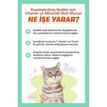 Ala Store Biofeline Kısır Kediler Için Multivitaminli Malt Macun 100G ve Sterile Paste (3 Paketi)