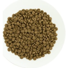 Ala Store Prochoice Kedi Kuru Maması, Kuzu ve Pirinçli PRO36, 15 kg