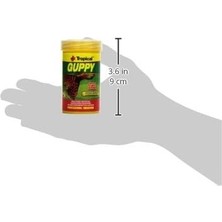 Ala Store Guppy 100ML 20GR Lepistes Için Pul Yem