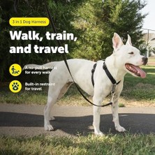 Ala Store Petsafe The Makers Of The Easy Walk Harness, 3'ü 1 Arada Koşum Kayışı, Tamamen Ayarlanabilir, Çekmez Köpek Koşumu, Orta Boy