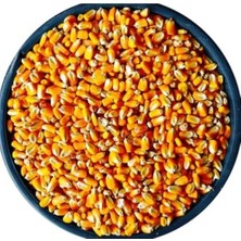 2 kg Mısır Kanatlı Tavuk Yemi, Ördek ve Kuşlar Için Uygun